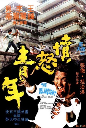 Fen Nu Qing Nian (1973) - poster