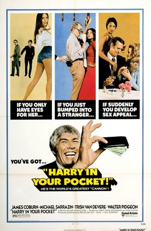 Harry in Your Pocket (1973) - poster