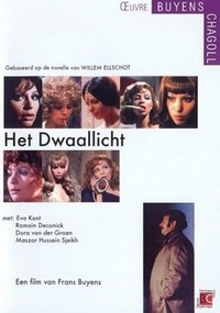 Het Dwaallicht (1973) - poster