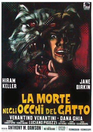 La Morte negli Occhi del Gatto (1973) - poster