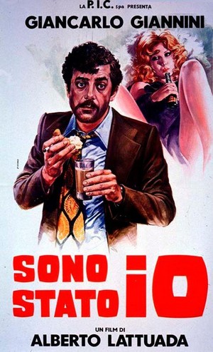 Sono Stato Io! (1973) - poster