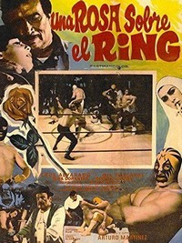 Una Rosa sobre el Ring (1973) - poster