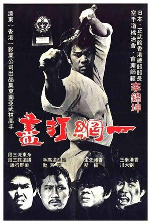 Yi Wang Da Shu (1973) - poster