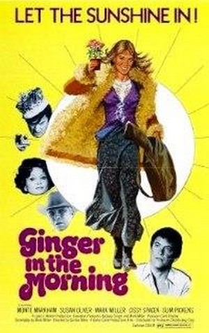 Ginger in the Morning (1974) - poster