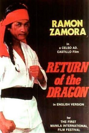 Return of the Dragon (1974) - poster