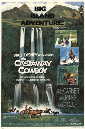 The Castaway Cowboy (1974) - poster