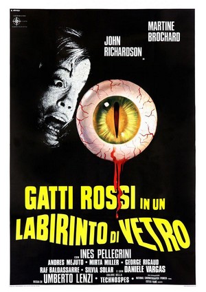 Gatti Rossi in un Labirinto di Vetro (1975) - poster