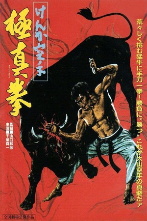 Kenka Karate Kyokushinken (1975) - poster