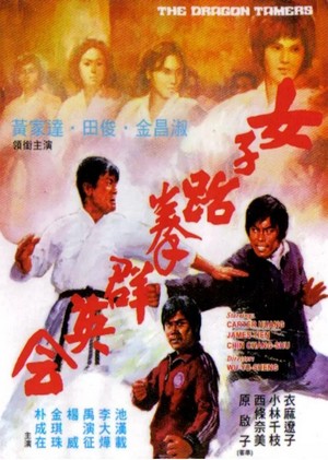 Nu Zi Tai Quan Qun Ying Hui (1975) - poster