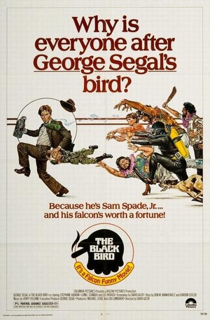 The Black Bird (1975) - poster