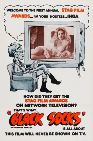 Video Vixens (1975) - poster