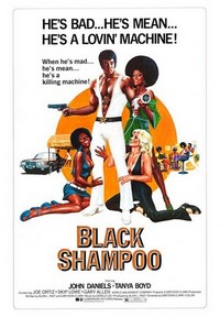 Black Shampoo (1976) - poster