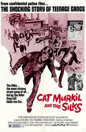 Cat Murkil and the Silks (1976) - poster