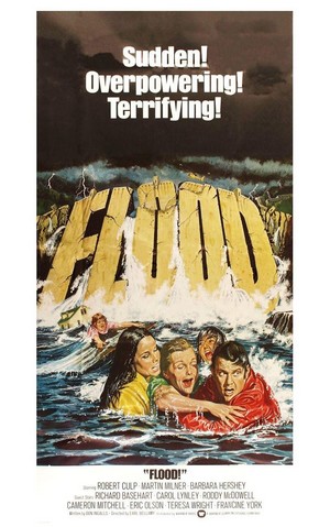 Flood! (1976) - poster