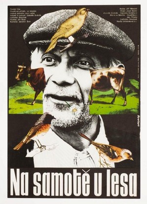 Na Samote u Lesa (1976) - poster