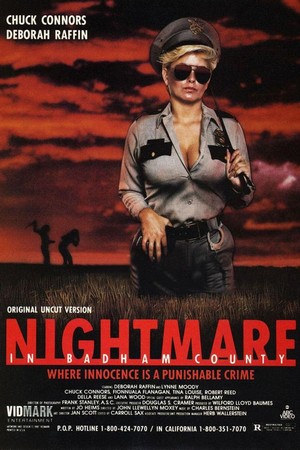 Nightmare in Badham County (1976) - poster