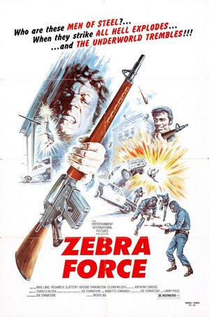Zebra Force (1976) - poster