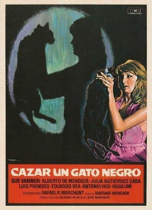 Cazar un Gato Negro (1977) - poster