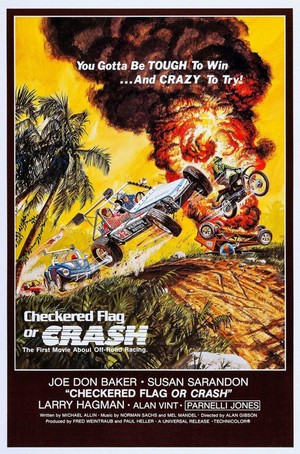 Checkered Flag or Crash (1977) - poster