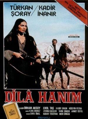 Dilâ Hanim (1977) - poster