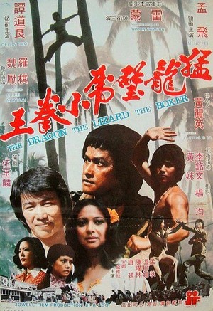 Meng Long Bi Hu Xiao Quan Wang (1977) - poster