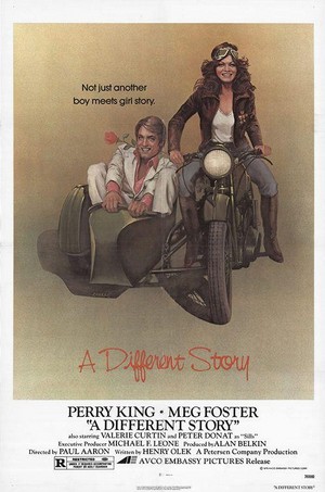 A Different Story (1978) - poster