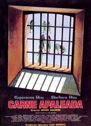 Carne Apaleada (1978) - poster