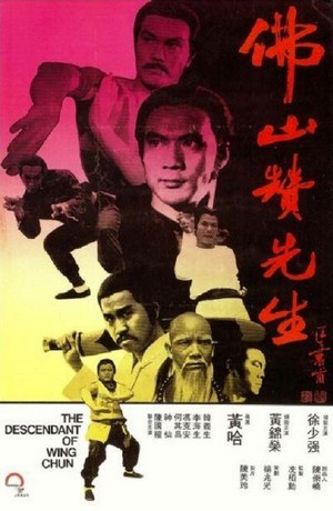 Fo Shan Zan Xian Sheng (1978) - poster
