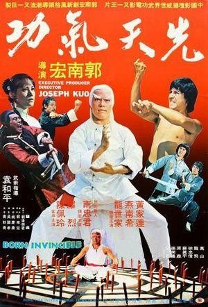 Tai Ji Yuan Gong (1978) - poster