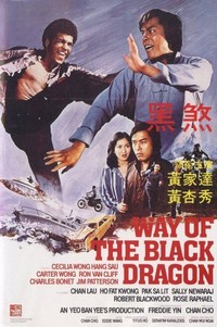 Way of the Black Dragon (1978) - poster