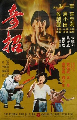 Ji Zhao (1979) - poster