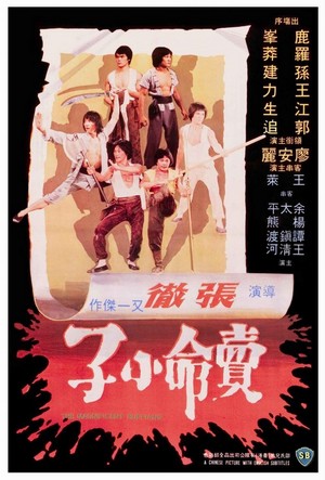 Mai Ming Xiao Zi (1979) - poster