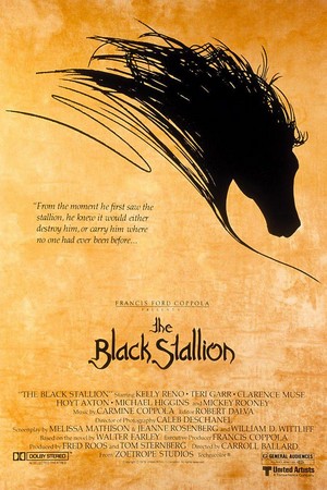 The Black Stallion (1979) - poster