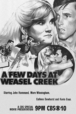 A Few Days in Weasel Creek (1980) - poster