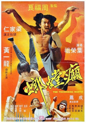 Dian Tang Lang (1980) - poster
