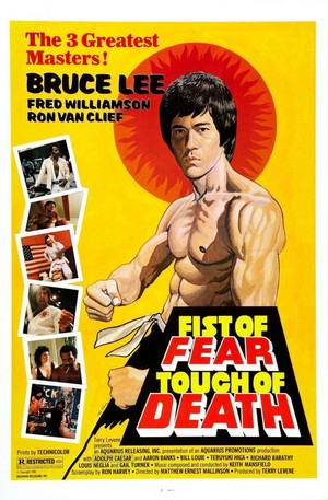 Fist of Fear, Touch of Death (1980) - poster