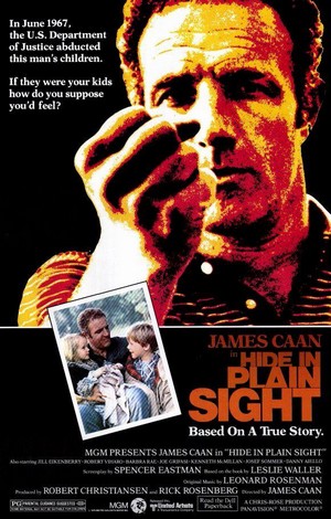 Hide in Plain Sight (1980) - poster