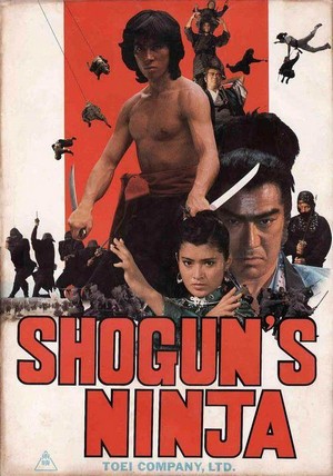 Ninja Bugeicho Momochi Sandayu (1980) - poster