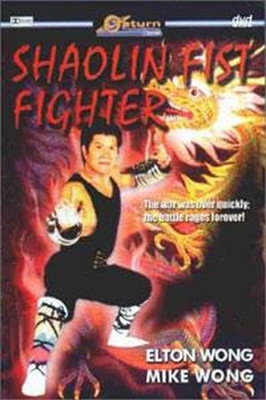 Shaolin Fist Fighter (1980) - poster