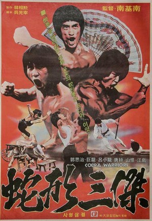 Shen Wei San Meng Long (1980) - poster