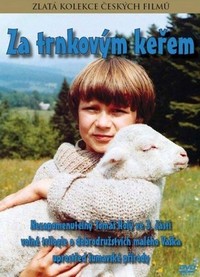 Za Trnkovým Kerem (1980) - poster