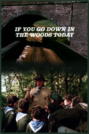 If You Go Down in the Woods Today (1981) - poster
