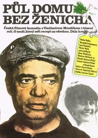 Pul Domu bez Zenicha (1981) - poster