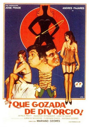¡Qué Gozada de Divorcio! (1981) - poster