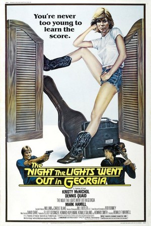 The Night the Lights Went Out in Georgia (1981) - poster