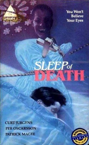 The Sleep of Death (1981) - poster