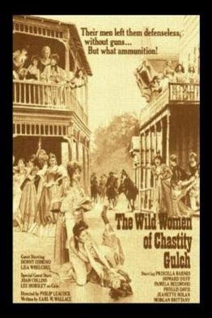 The Wild Women of Chastity Gulch (1982) - poster