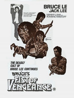 Bruce's Fists of Vengeance (1984) - poster