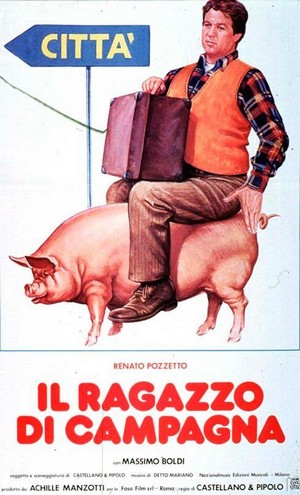 Il Ragazzo di Campagna (1984) - poster