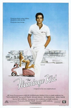 The Flamingo Kid (1984) - poster